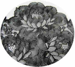 dentelle bayeux