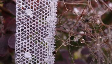 photo du livre de Claudette Bouvot 