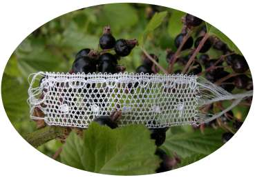 photo du livre de Claudette Bouvot 