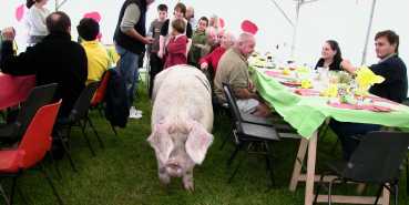 Sannerville 1 - F�te de la pomme 