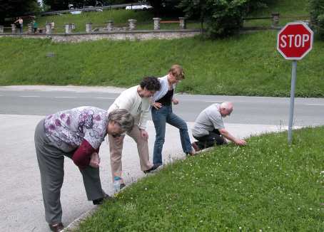  voyage Slov�nie 2008  